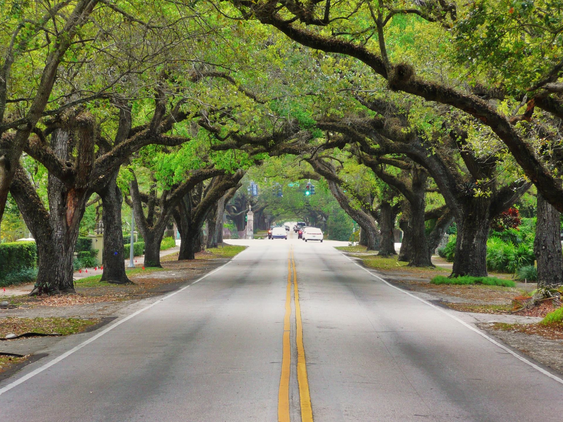 Coral way 20100321